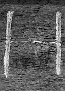 Wall_Art_Alphabet_Photography_Art_ 771